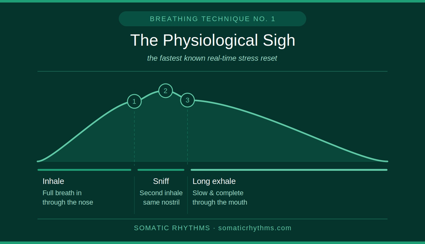 The Physiological Sigh breathing technique diagram showing the three steps: Inhale, Sniff, and Long Exhale